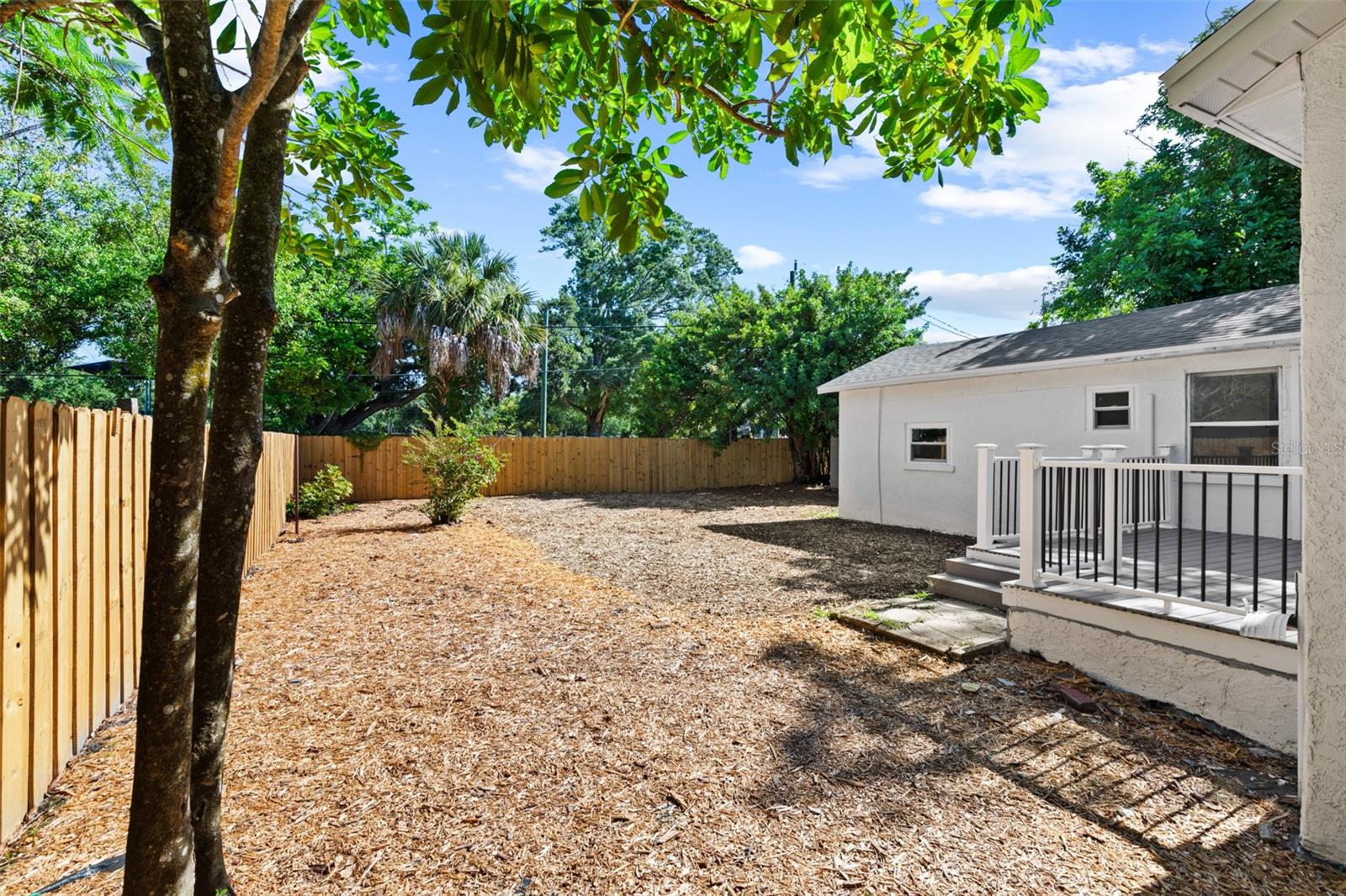 Backyard