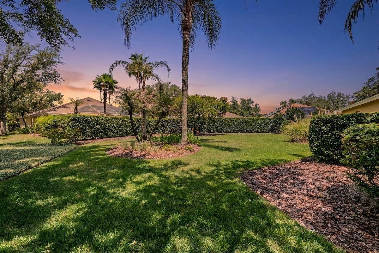 Large Yard