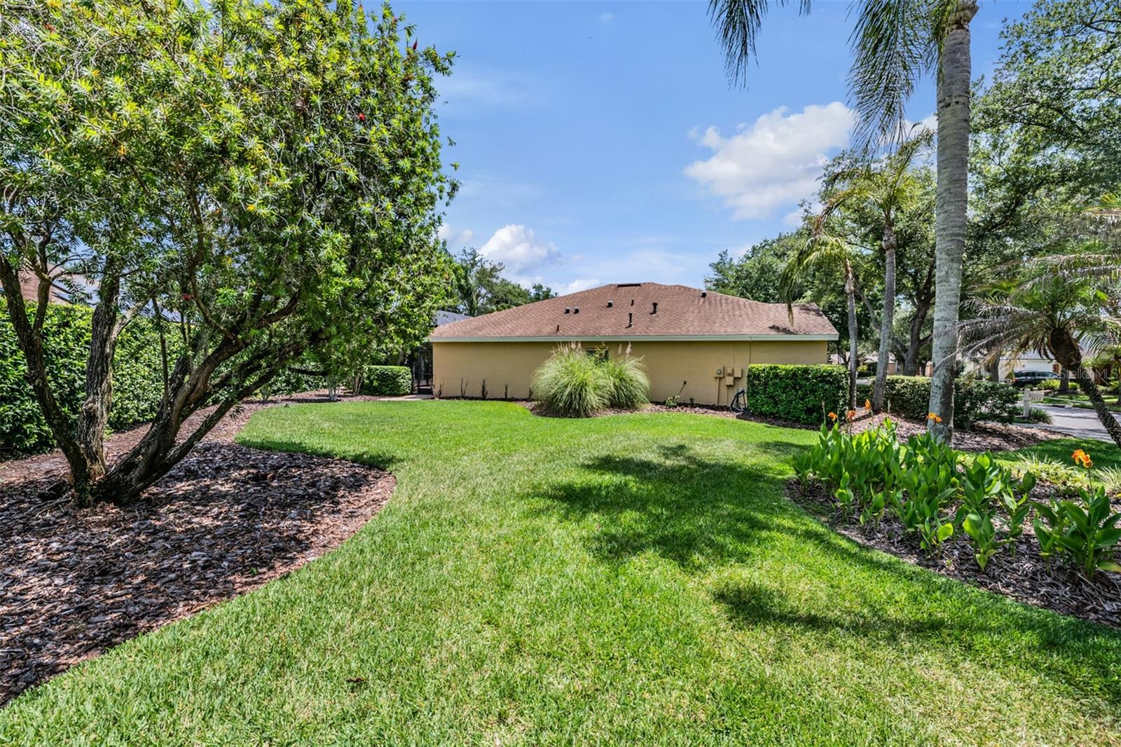 Large Side Yard