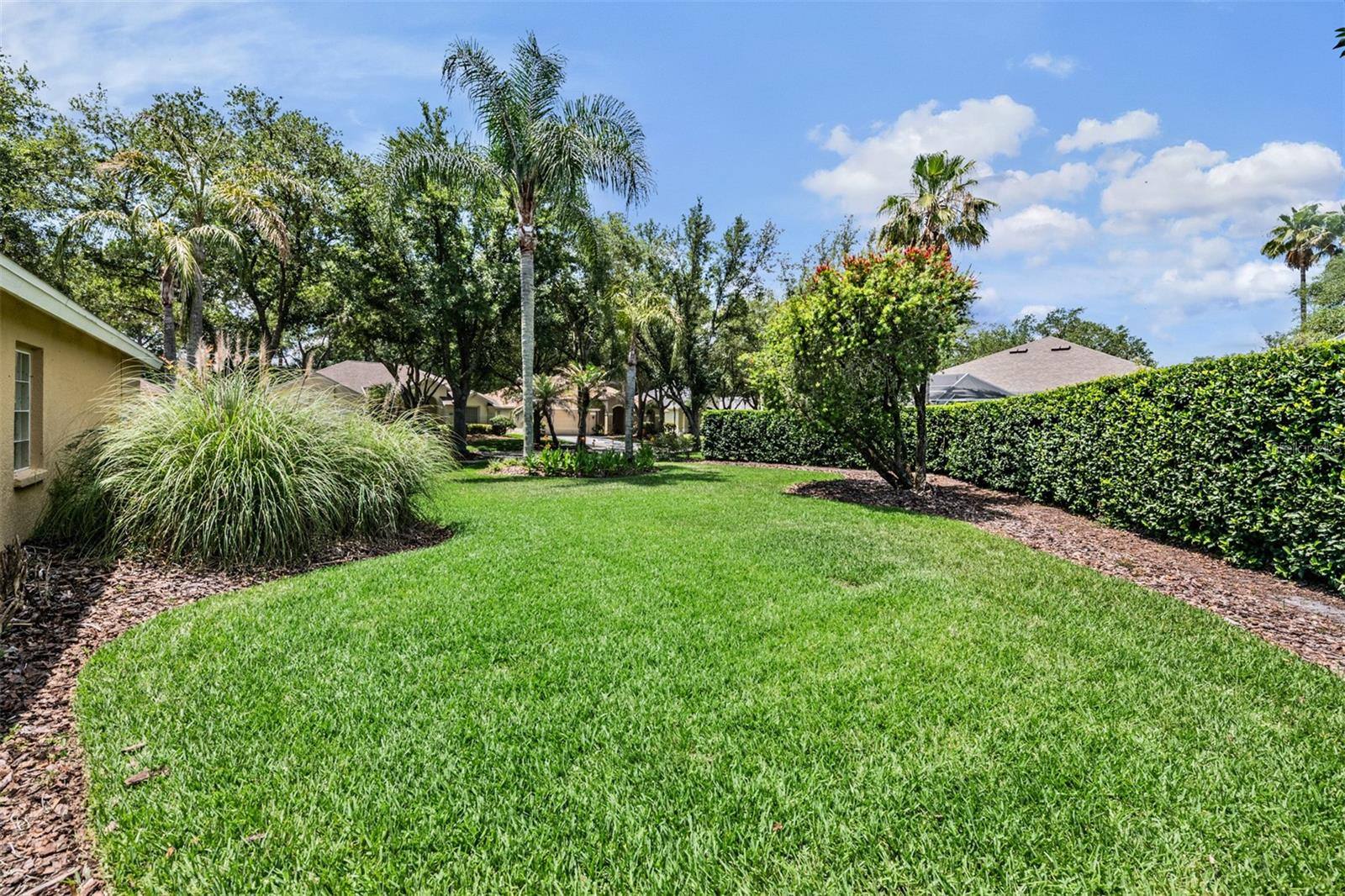 Large side yard (other side)