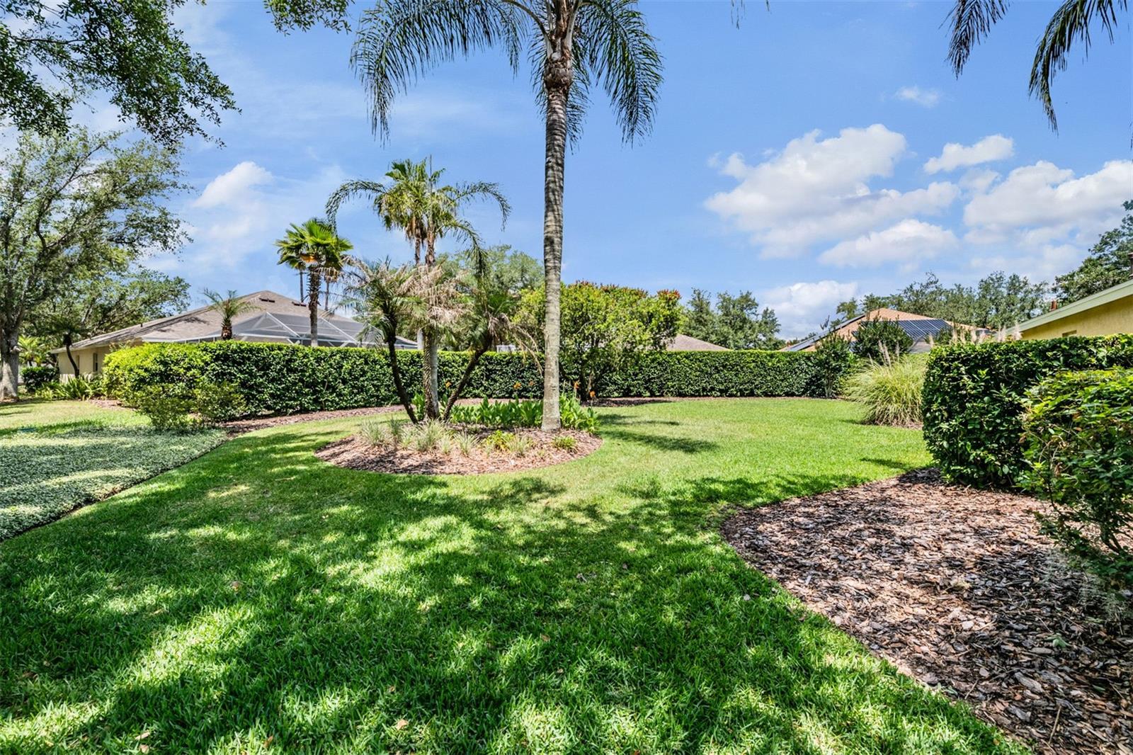 Large Yard