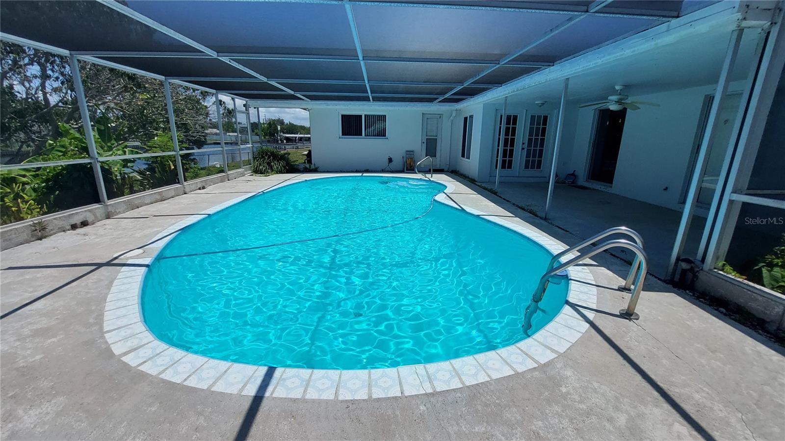 Pool & Birdcage