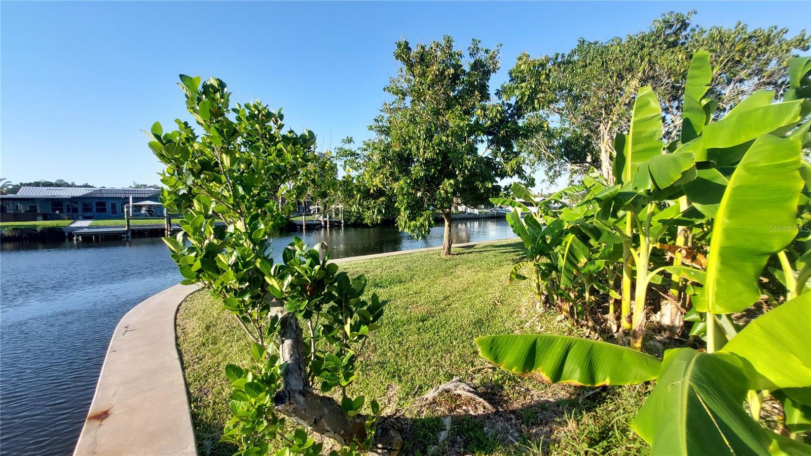 Waterfront Facing North