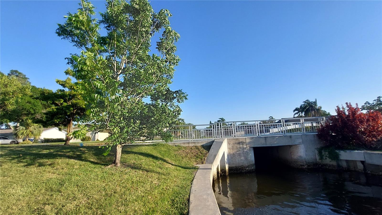 Bridge