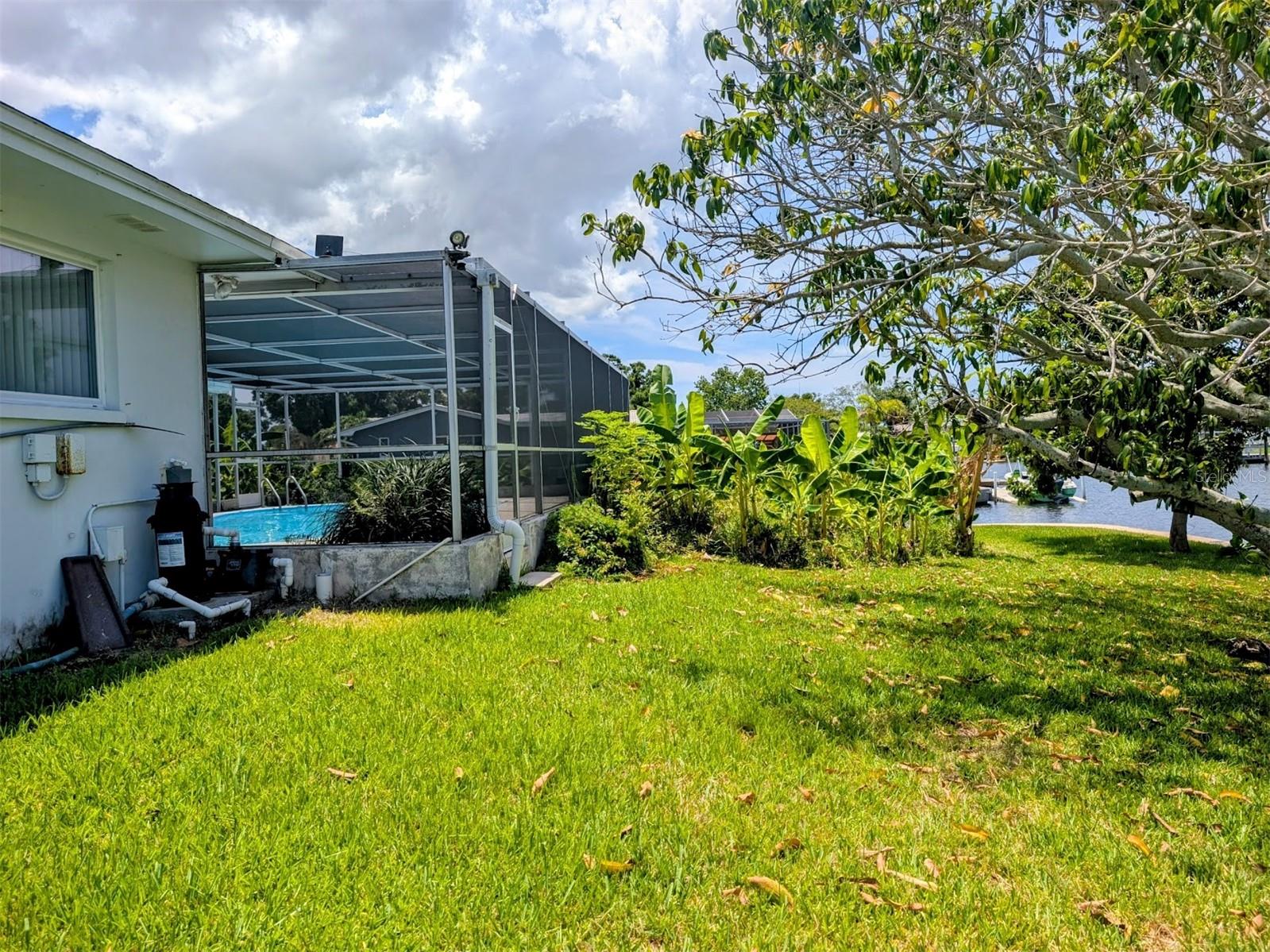 Backyard