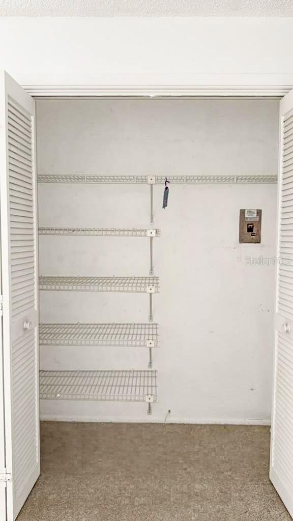 Bonus Room Closet