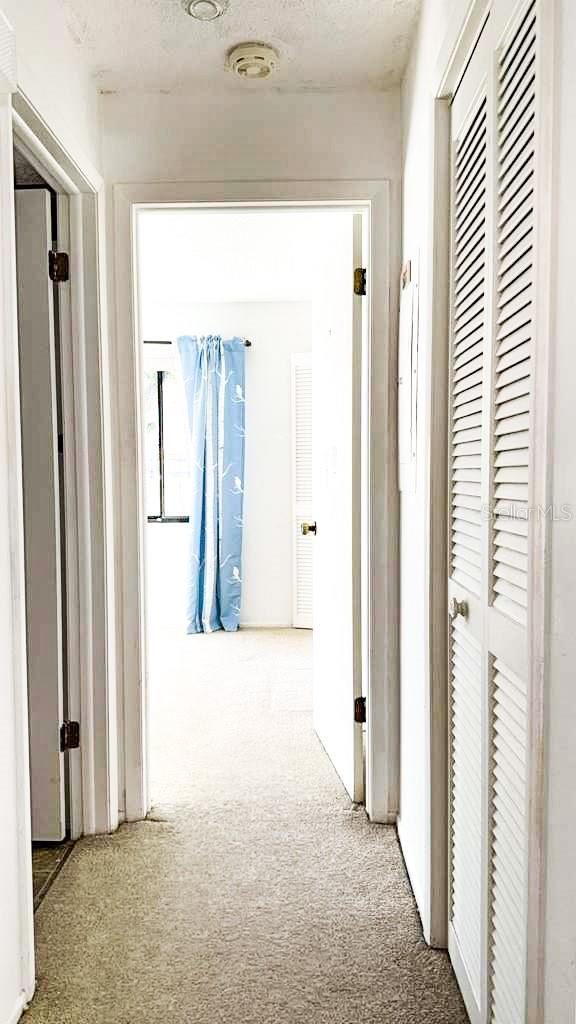 hall way to second bathroom and bedroom off of the bonus room