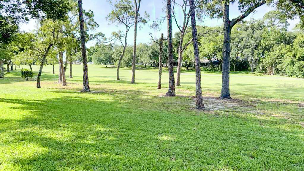 Your back yard a piece of Florida Golf lifestyle