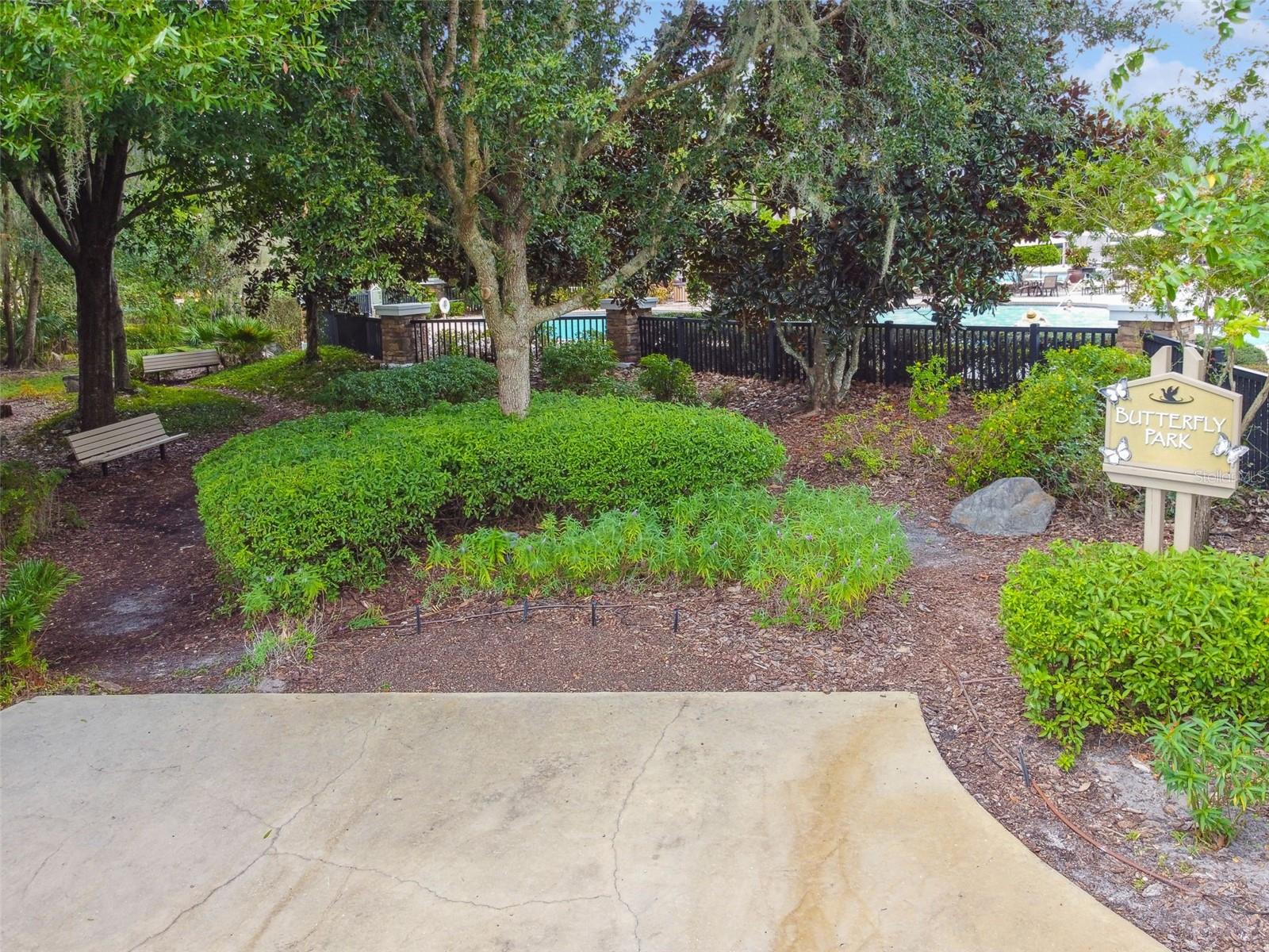 Butterfly Garden