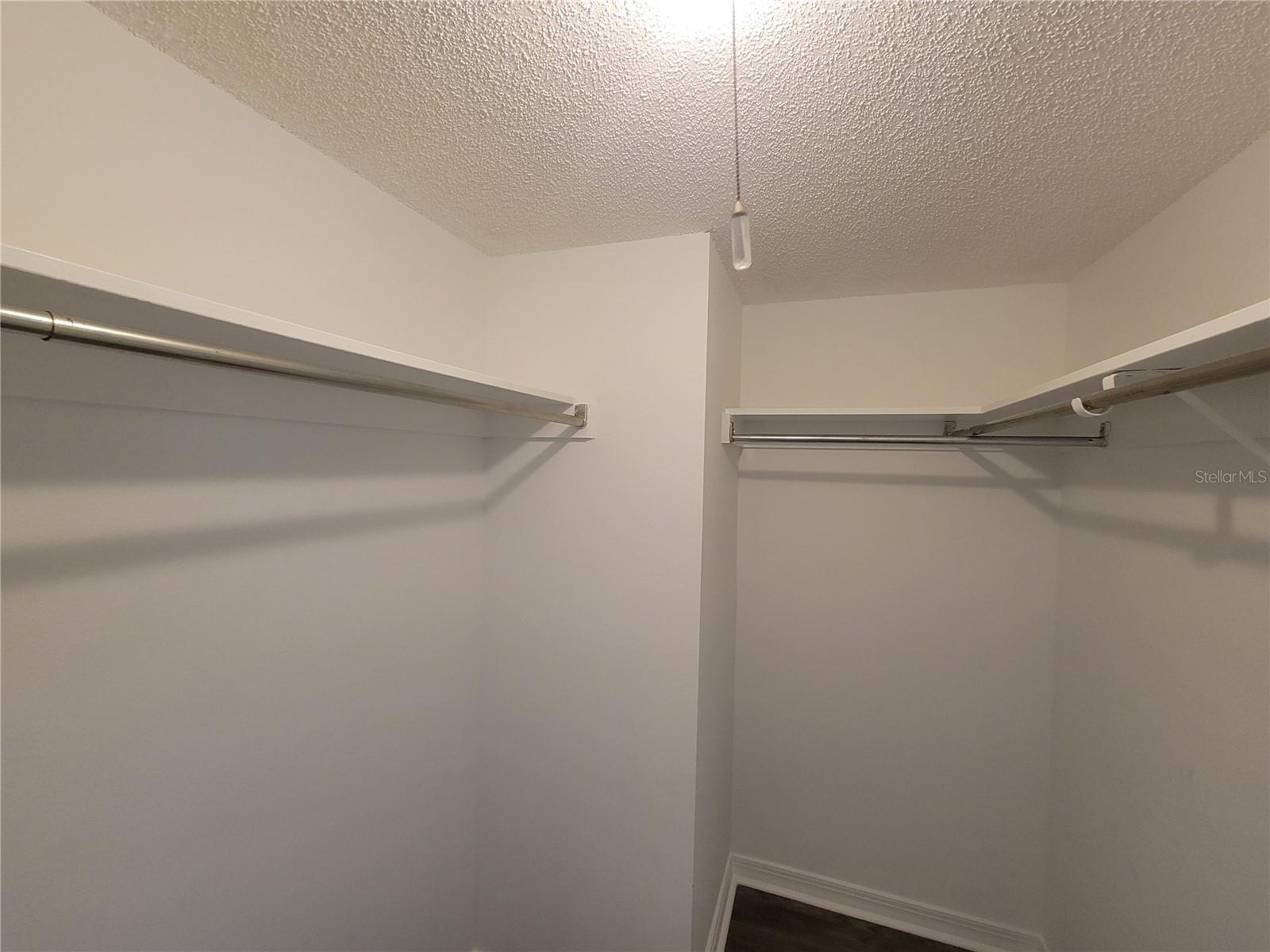 Ample walk-in closet