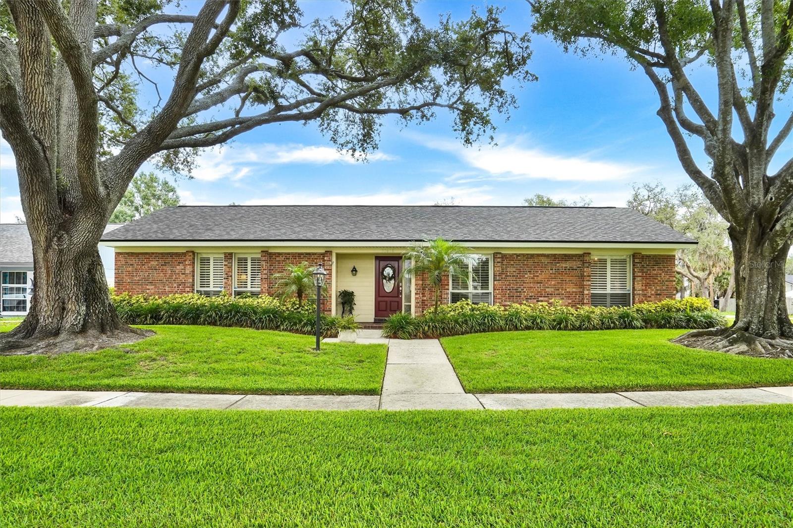 Original Carrollwood Gem!