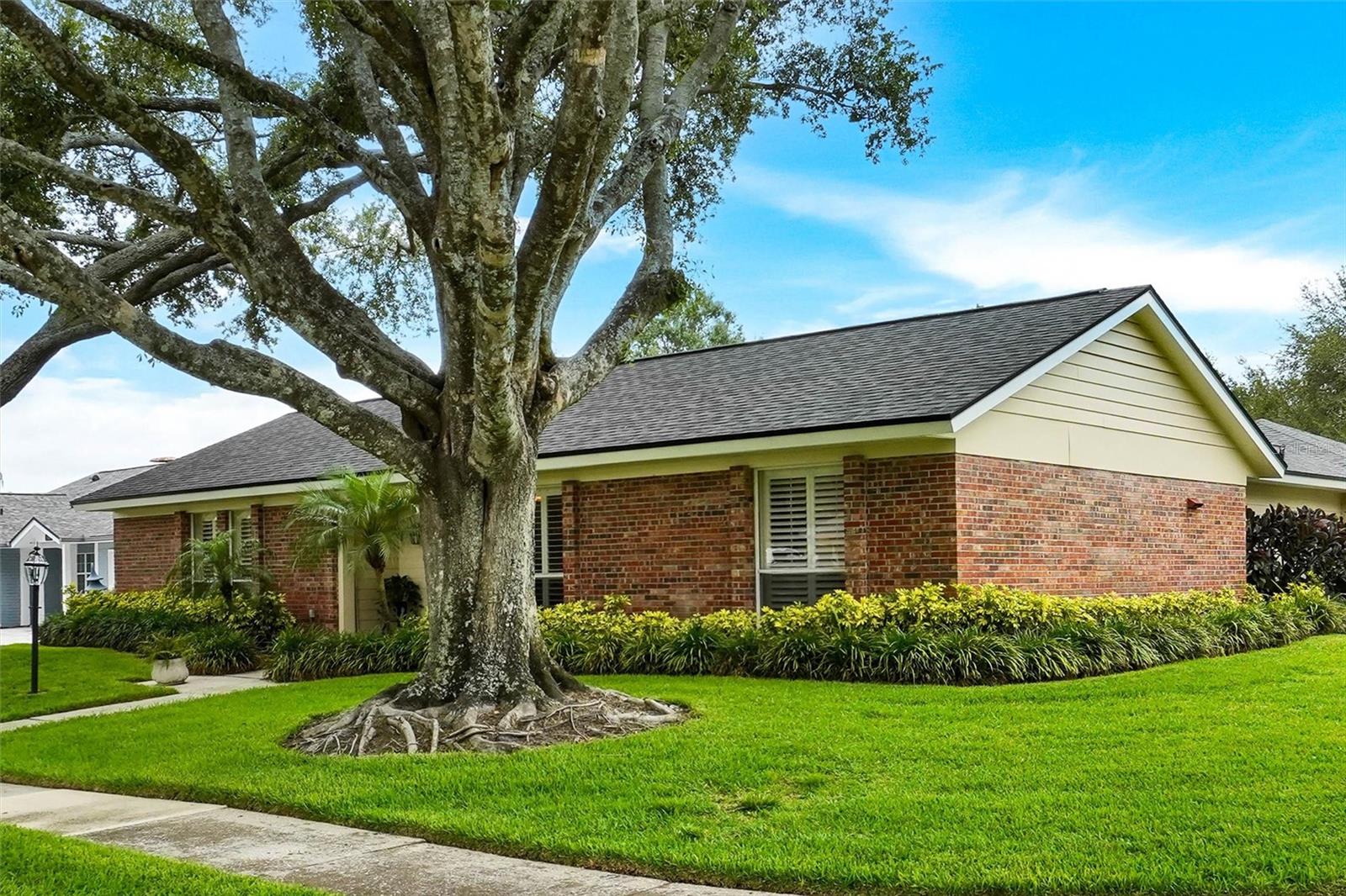 View from spacious corner lot.