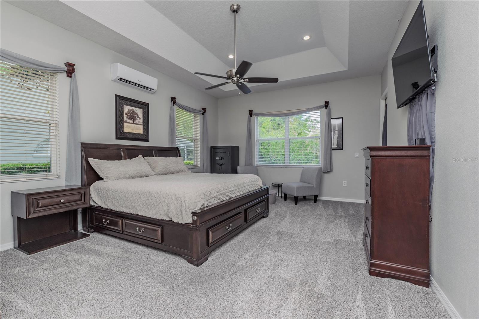 Large Primary bedroom featuring elegant trey ceilings.