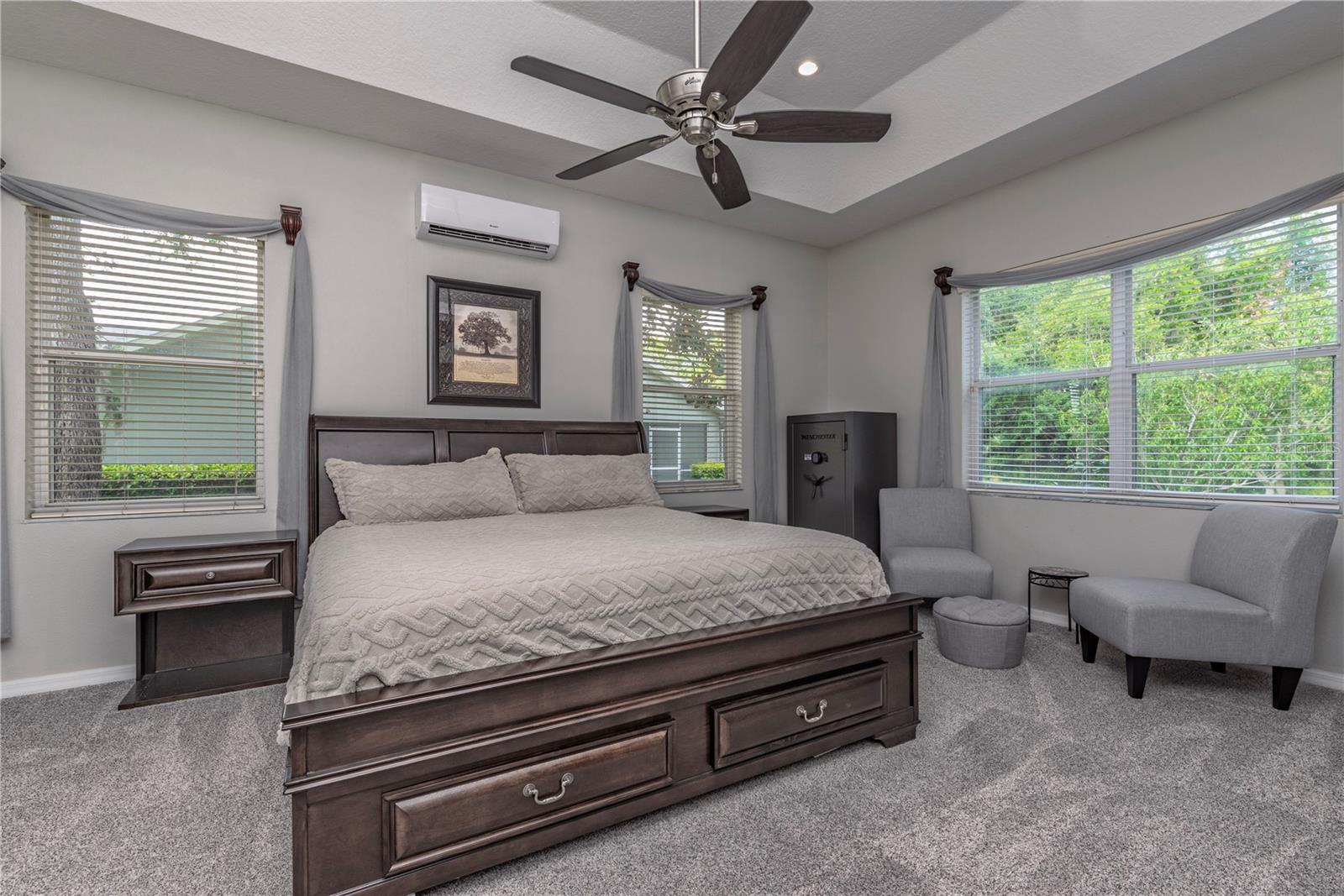 Large Primary bedroom featuring elegant trey ceilings.