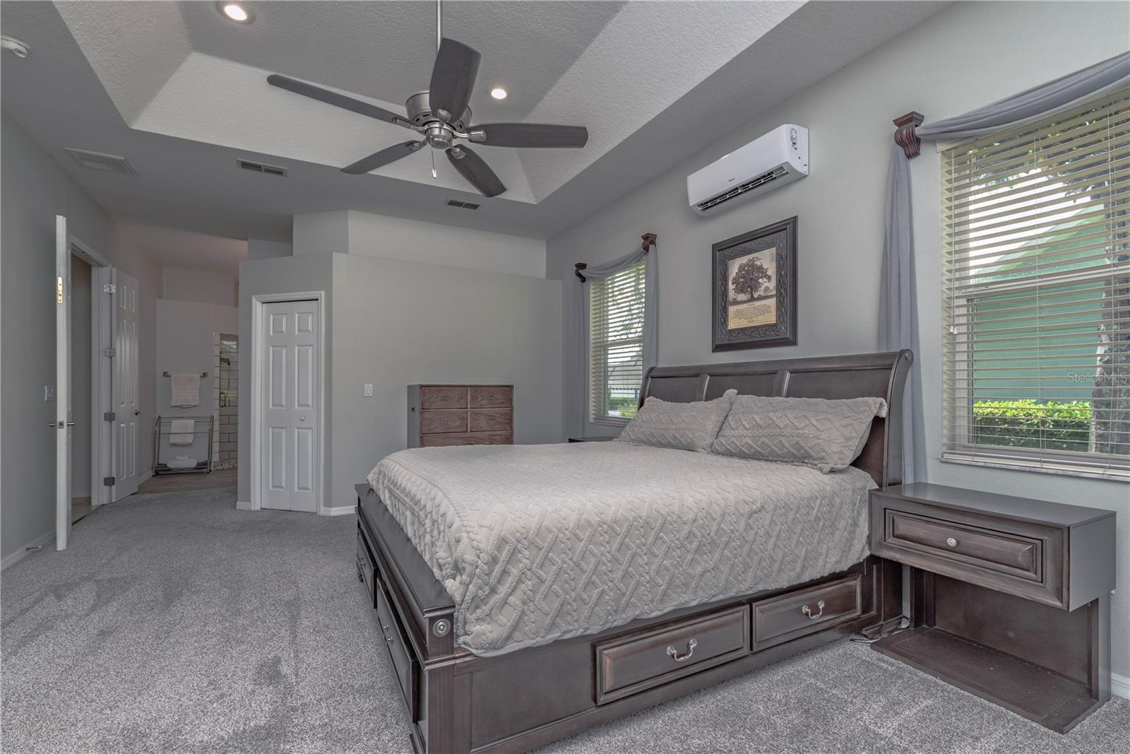 Primary bedroom featuring elegant trey ceilings.