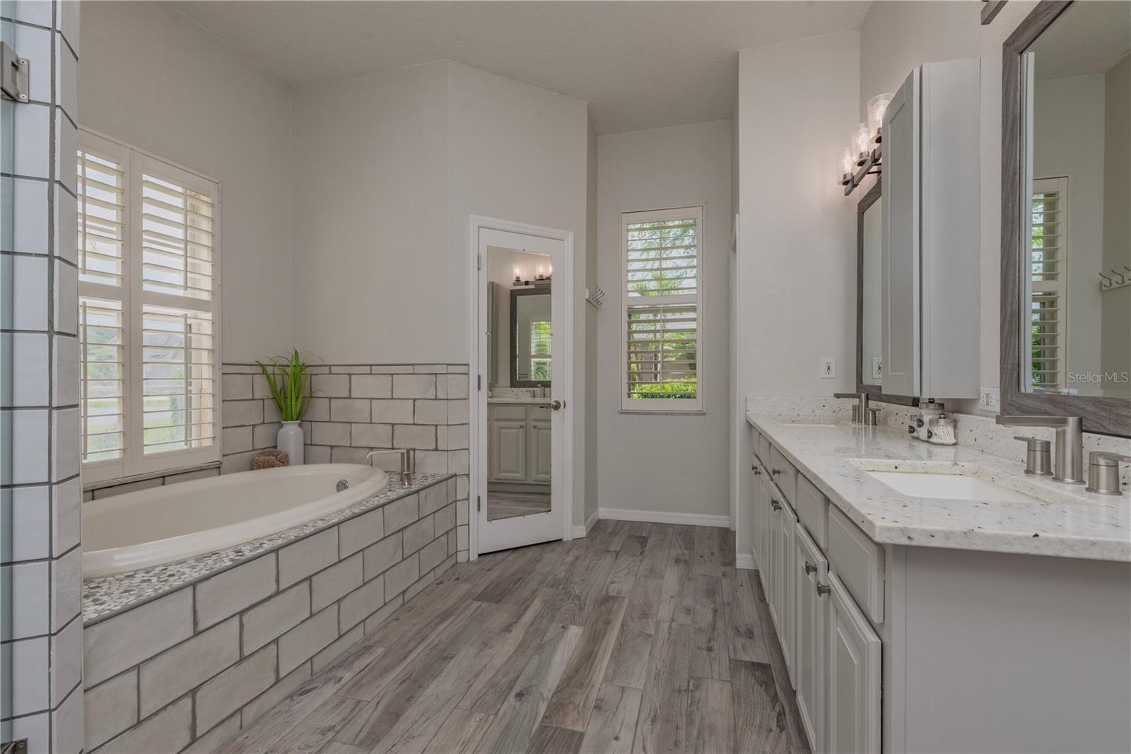 Primary bathroom featuring a luxurious soaker tub.