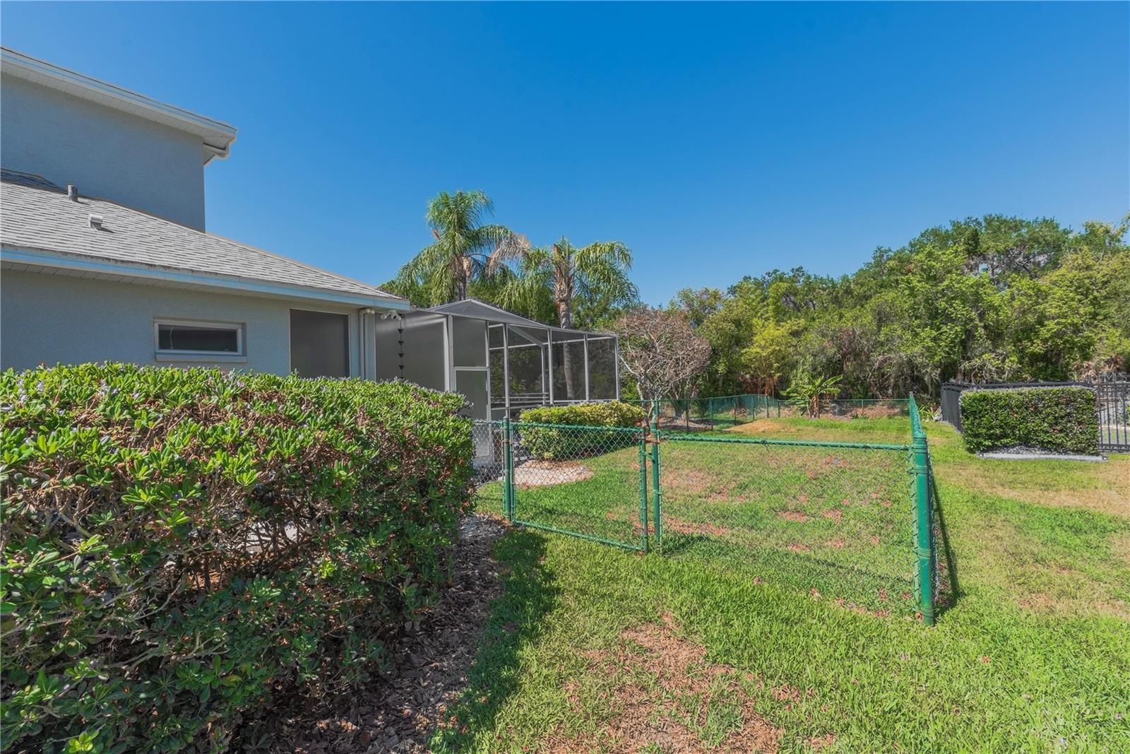 Fenced yard.