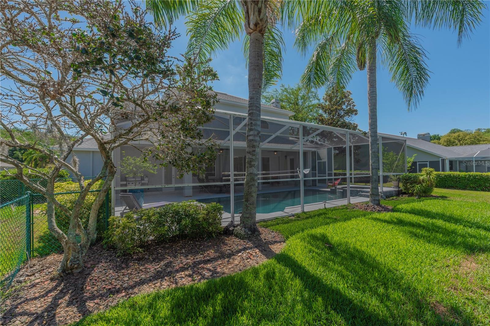 Backyard.
