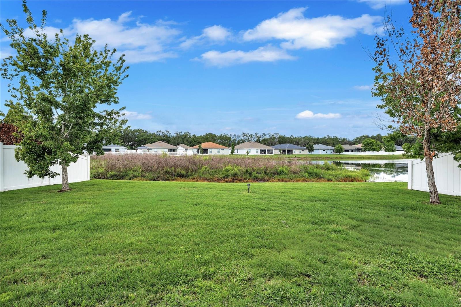 Peaceful Pond Views