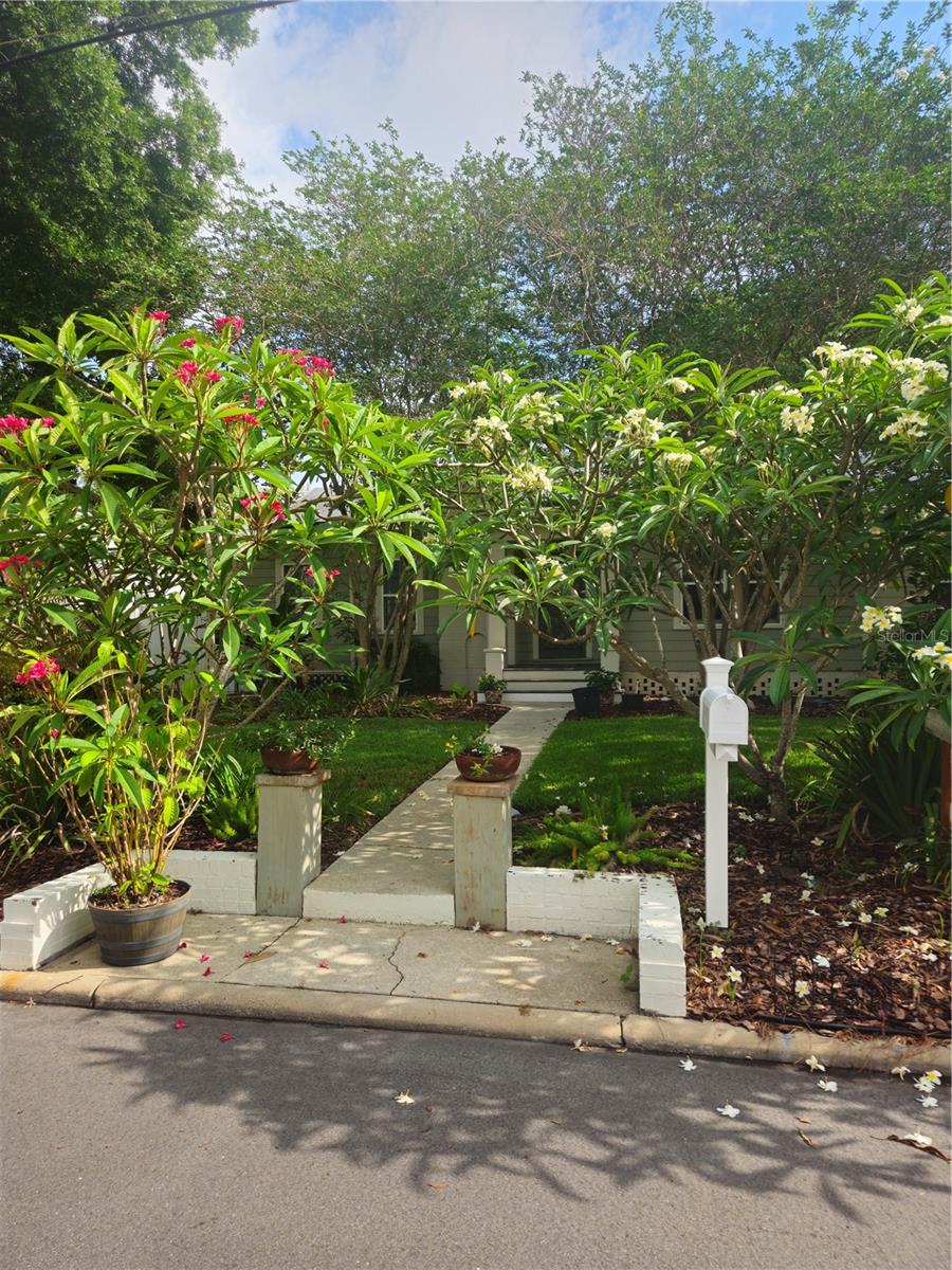 Front Walk Way