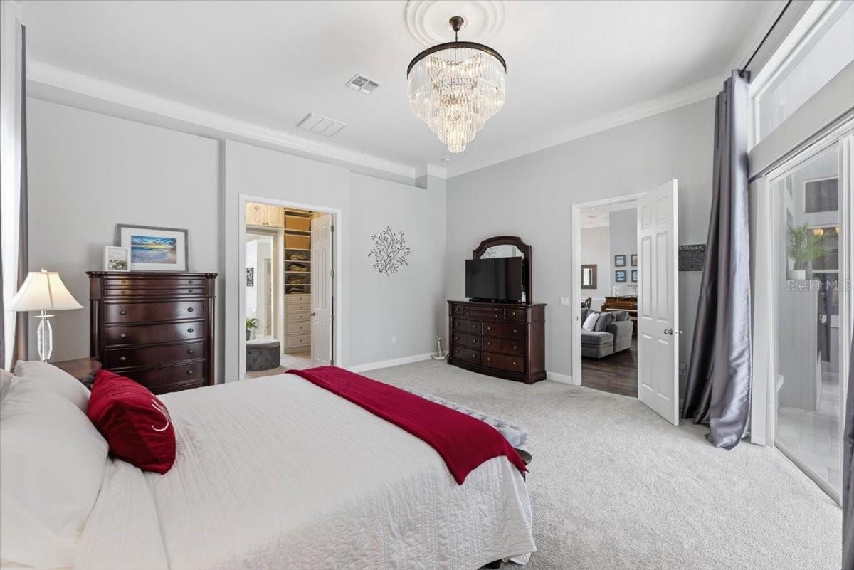 Primary Suite with high ceilings and new plush carpet, private exit to pool.