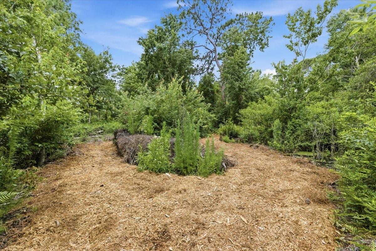 backyard trails! start about 1.1 miles in from the backyard.