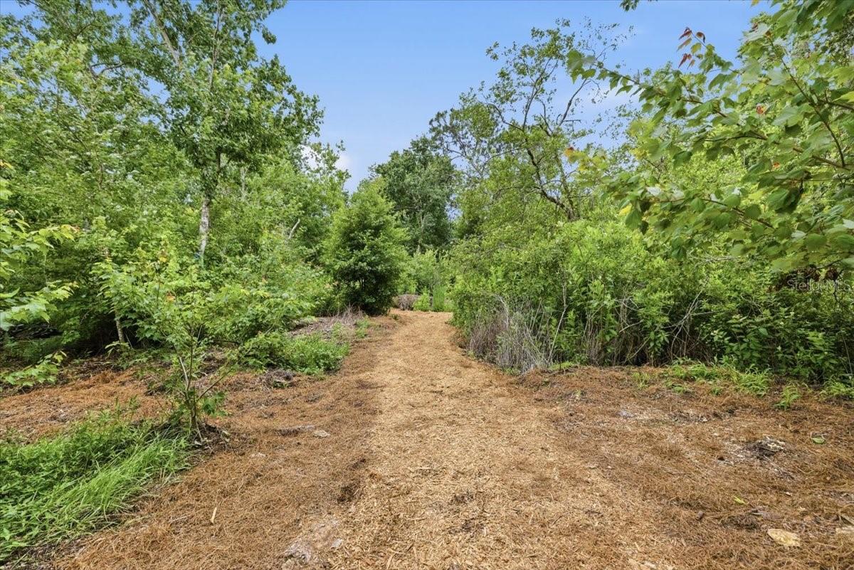 backyard trails! start about 1.1 miles in from the backyard.