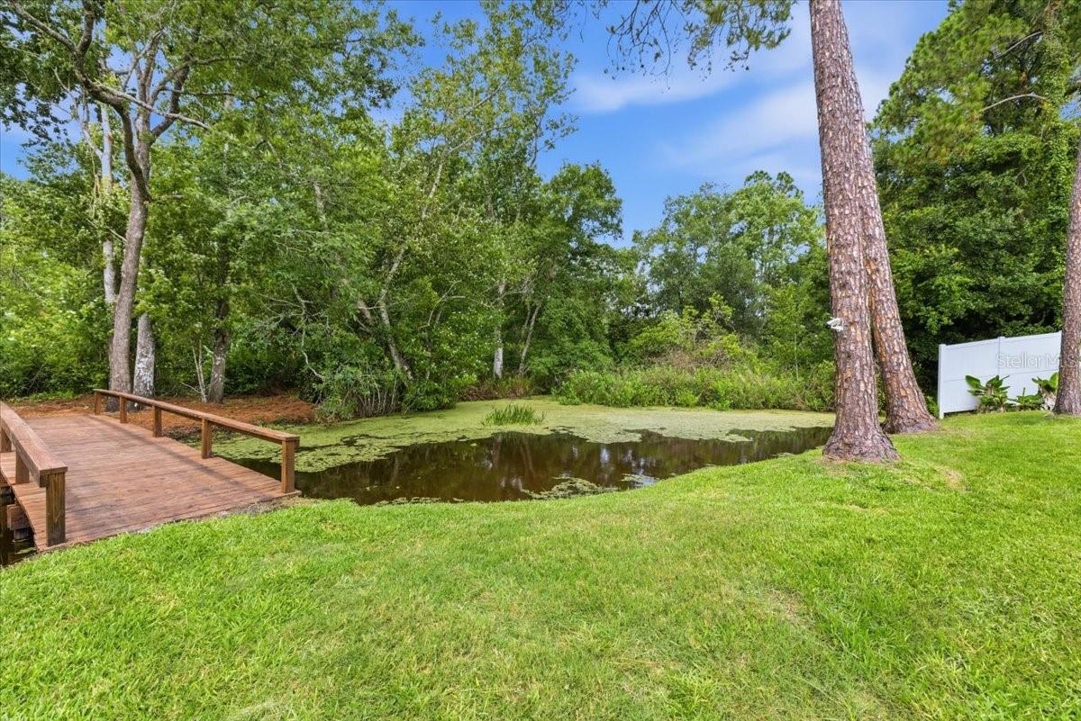 private creek/pond with wildlife to fish and catch.