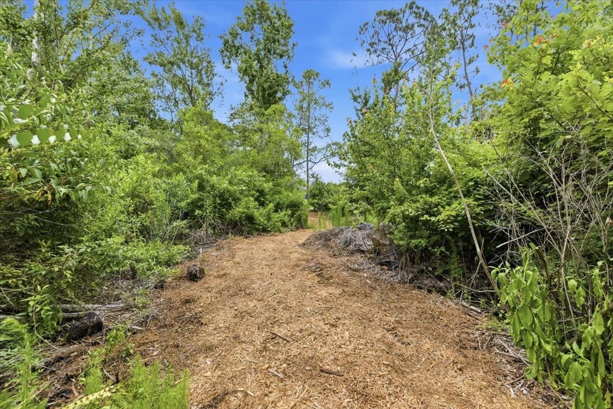 backyard trails! start about 1.1 miles in from the backyard.