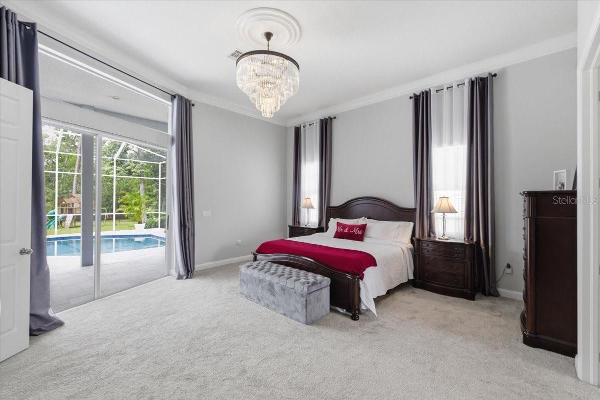 Primary Suite with high ceilings and new plush carpet, private exit to pool.