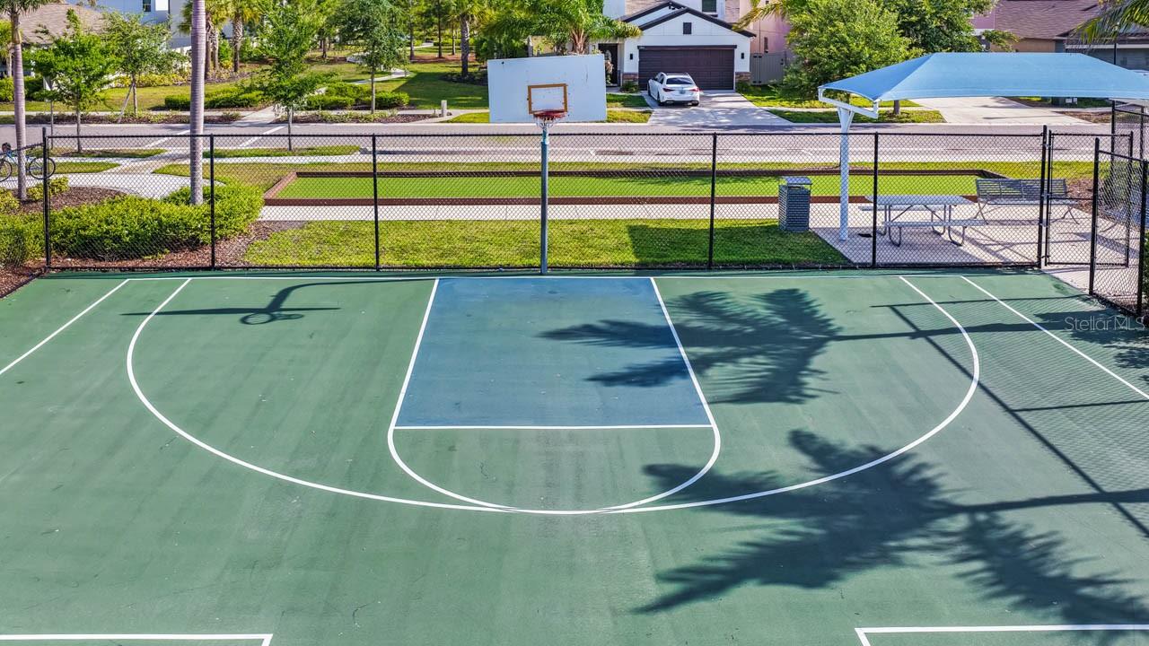 Basketball Court