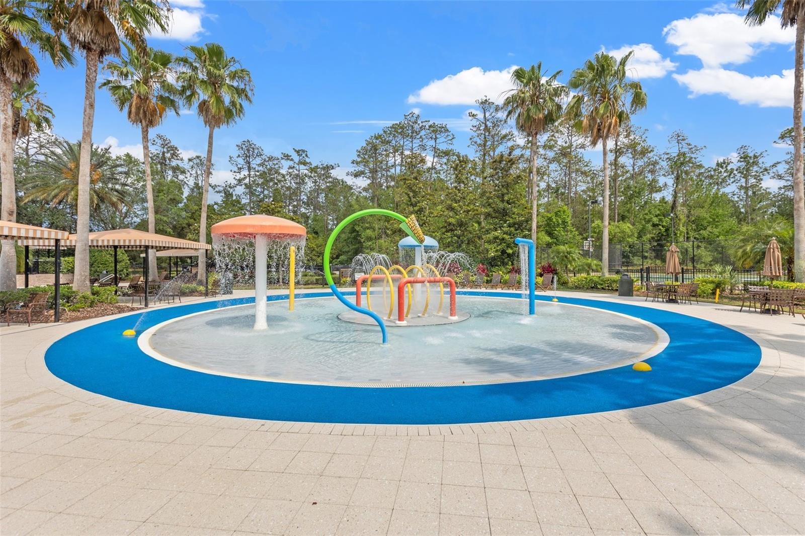 Premier Community Amenities