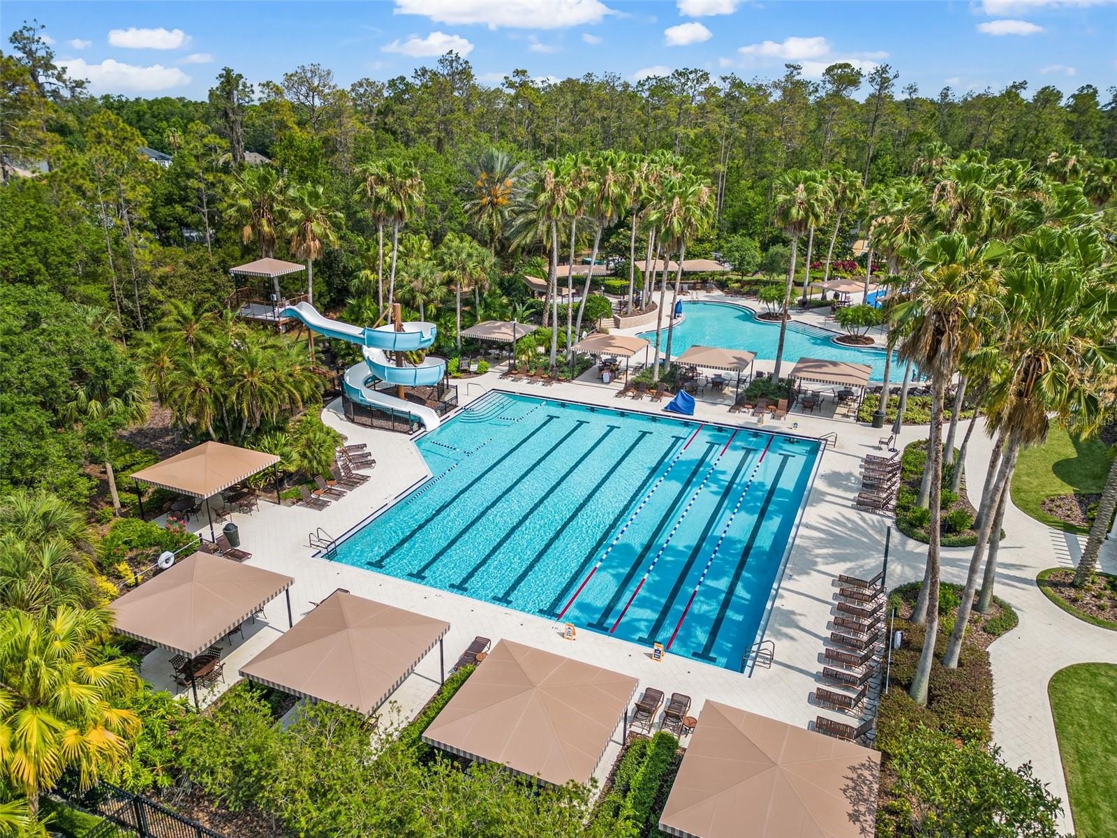 Premier Community Amenities
