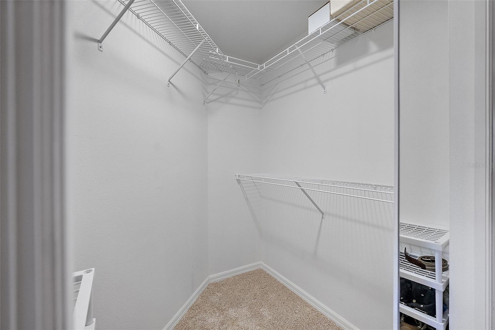 Walk-In Closet with Hanging & Shelving Space