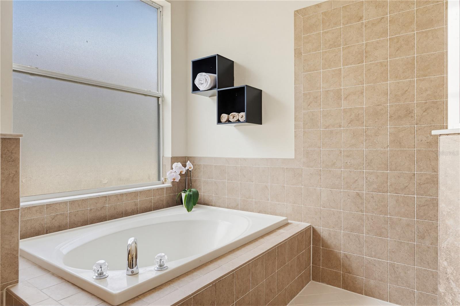 Master Bathroom Tub
