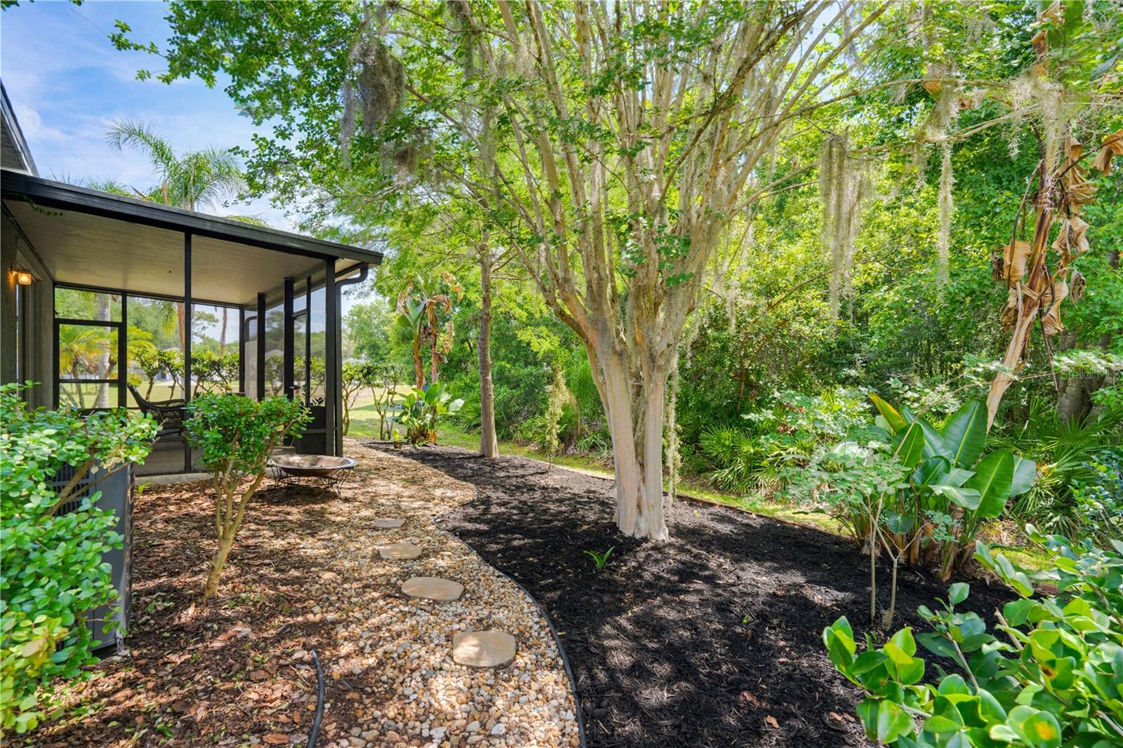 Backyard oasis