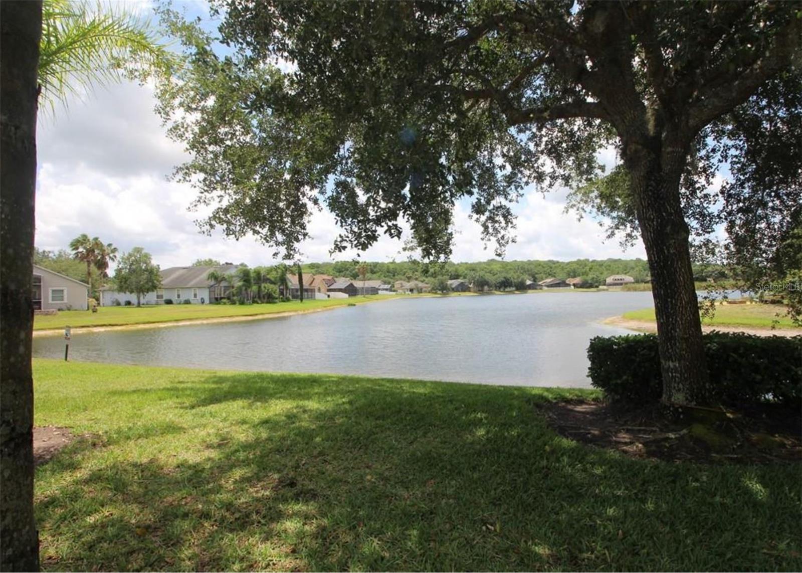 View of Pond from Recreation Area
