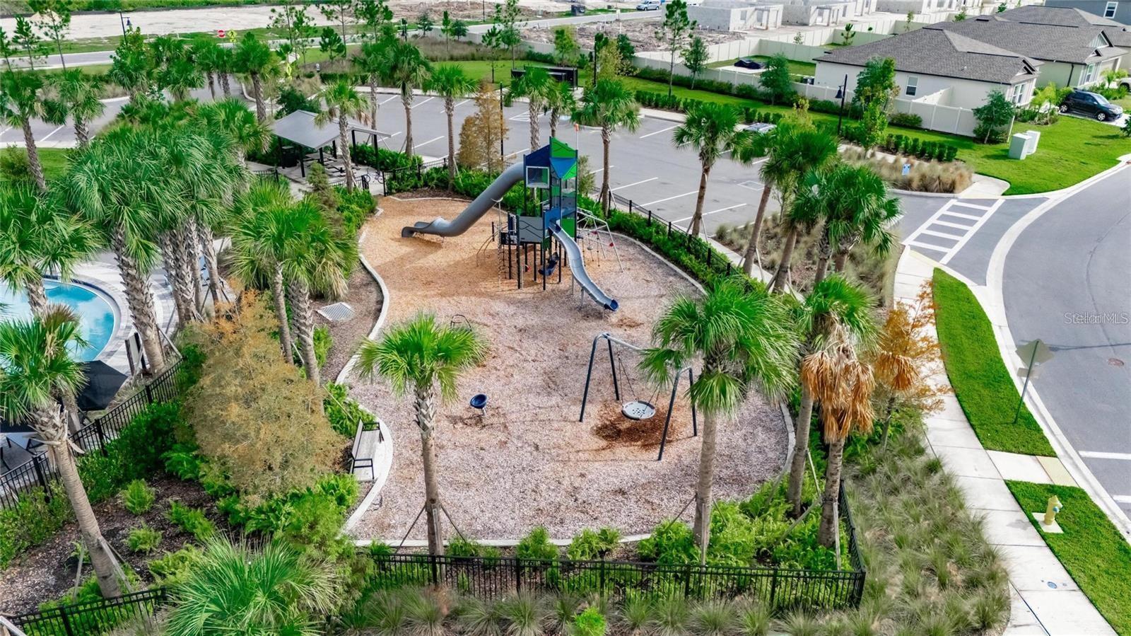 Community Area