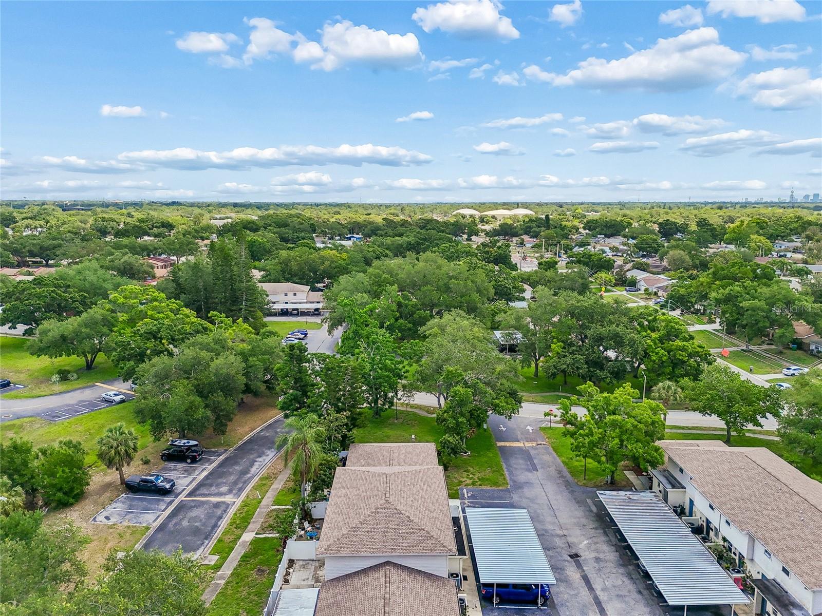 Aerial Views
