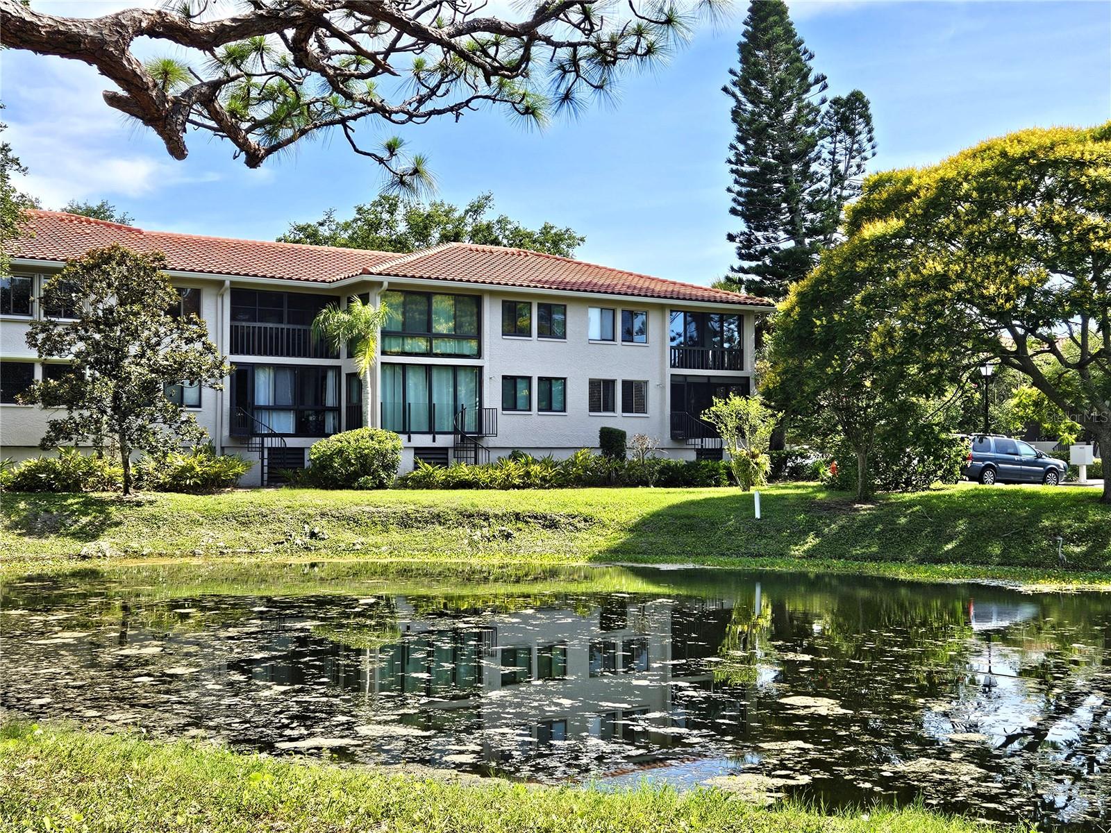 View of the pond