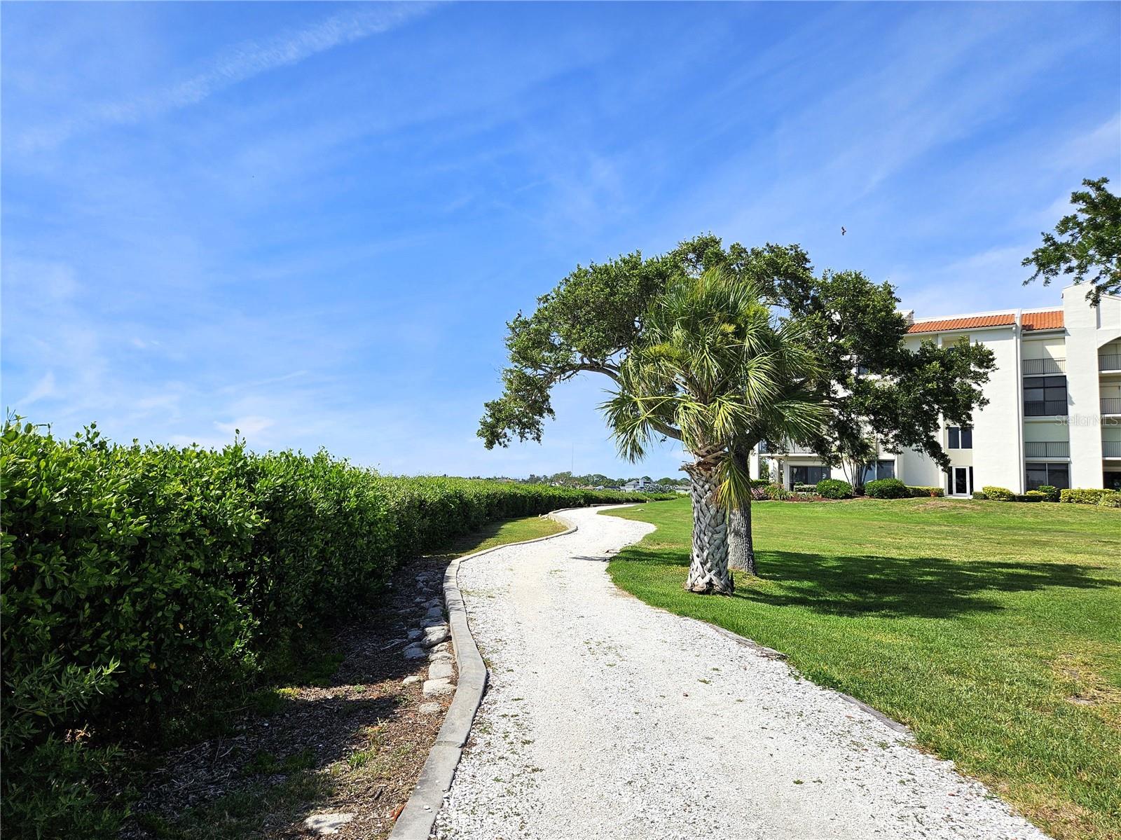 Serene nature walks