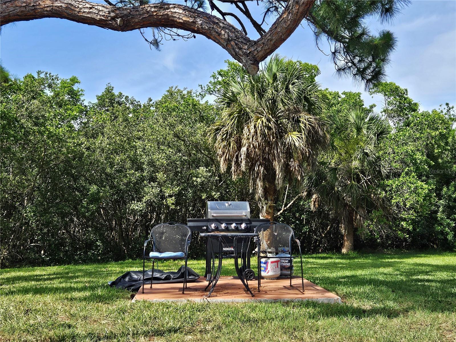 BBQ areas