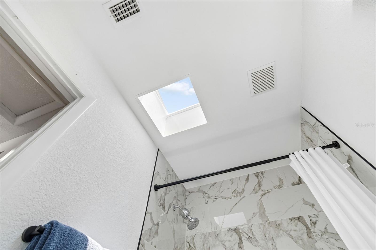 Second Bath with skylight