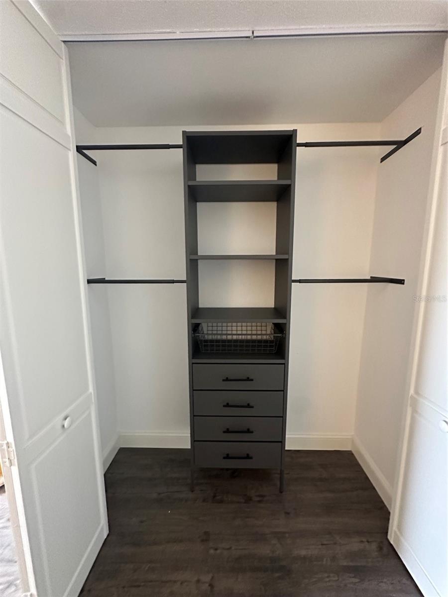 Large built-in closet with organizer