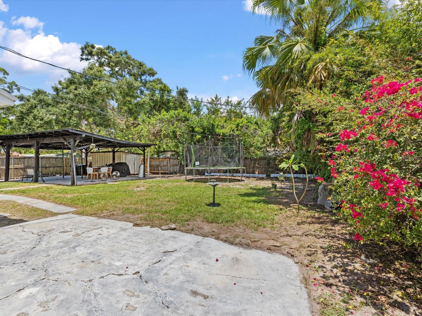 large and spacious back yard