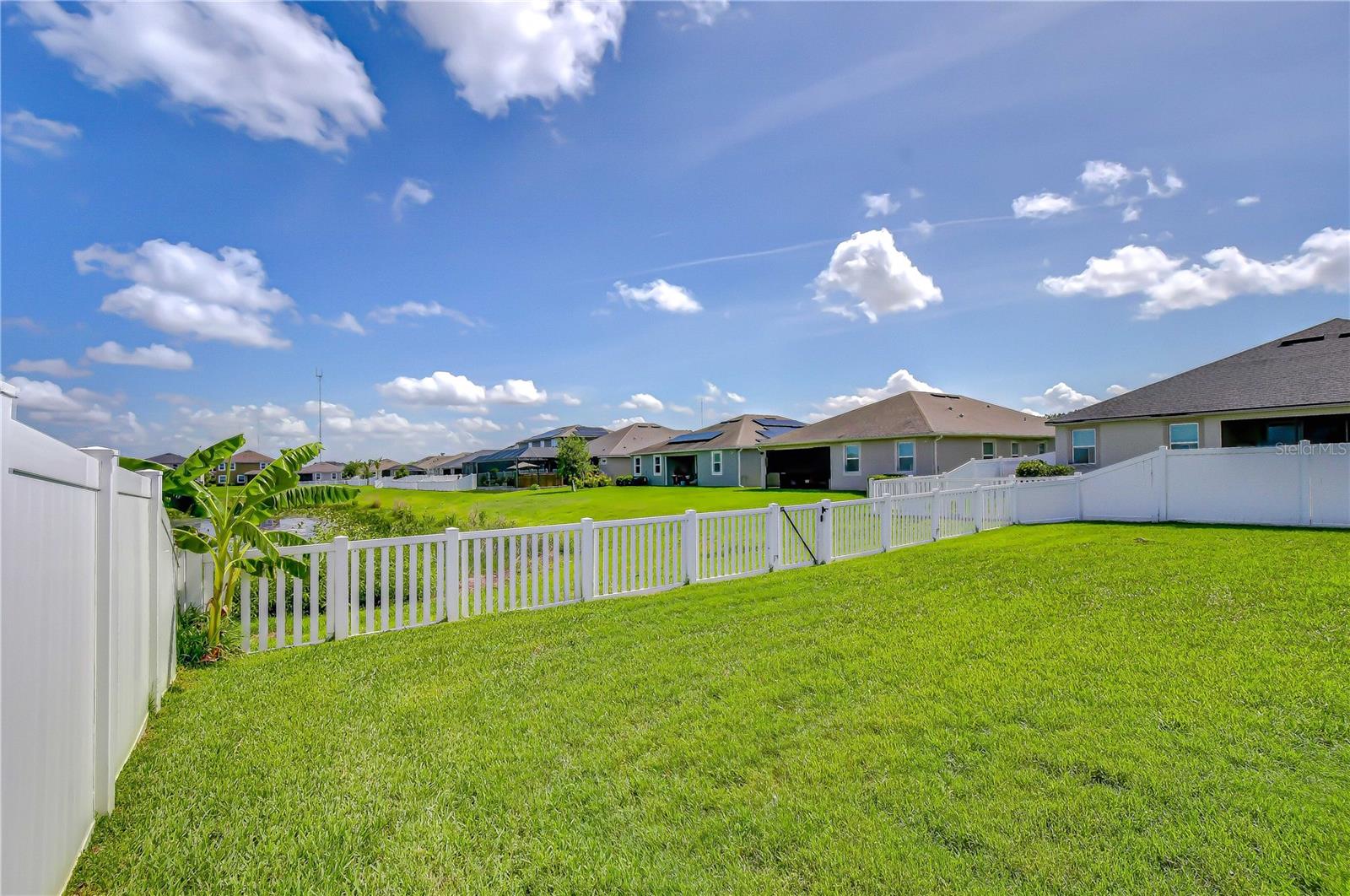 Expansive fenced yard with plenty of room to play.