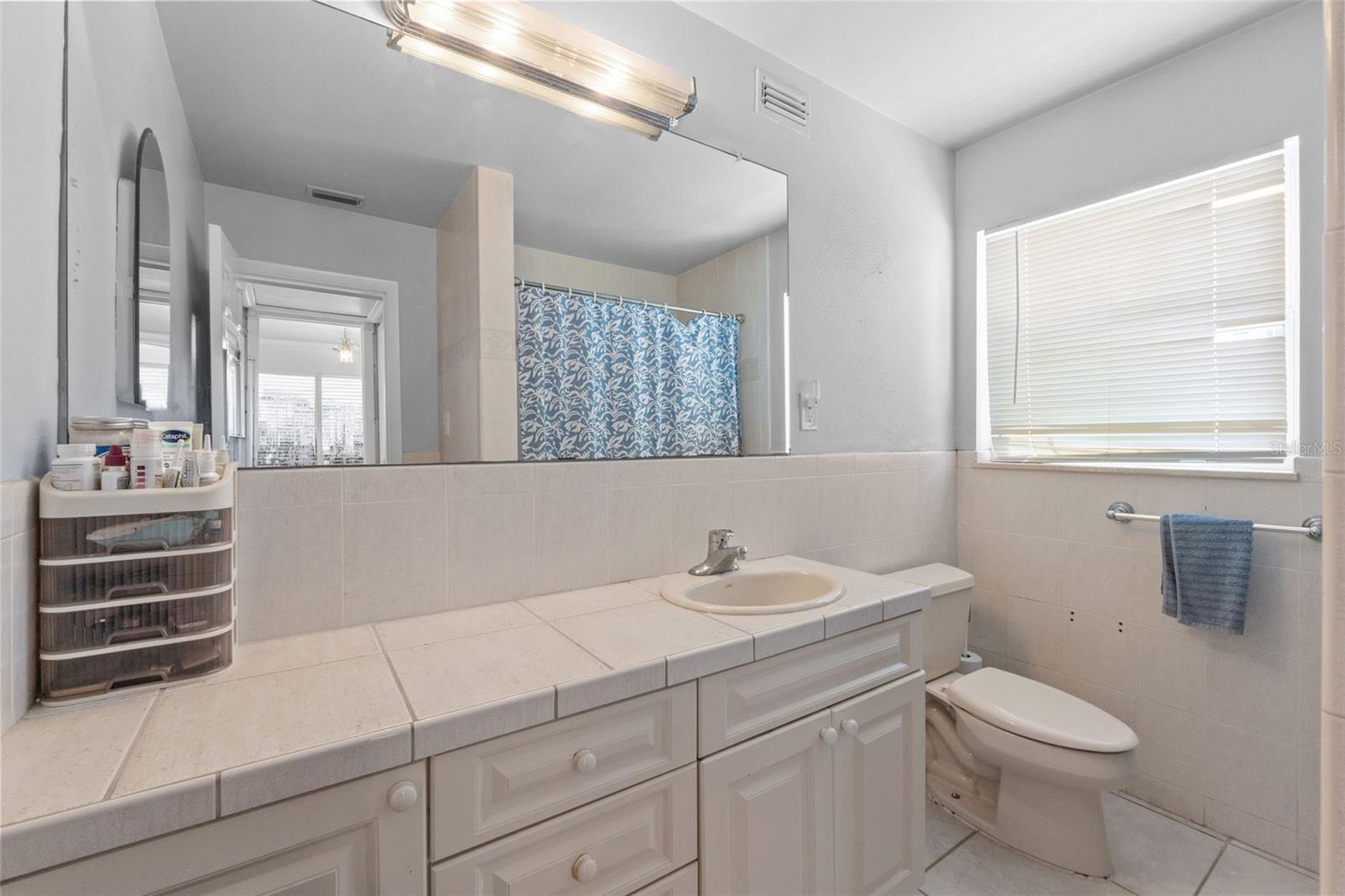 Guest bathroom