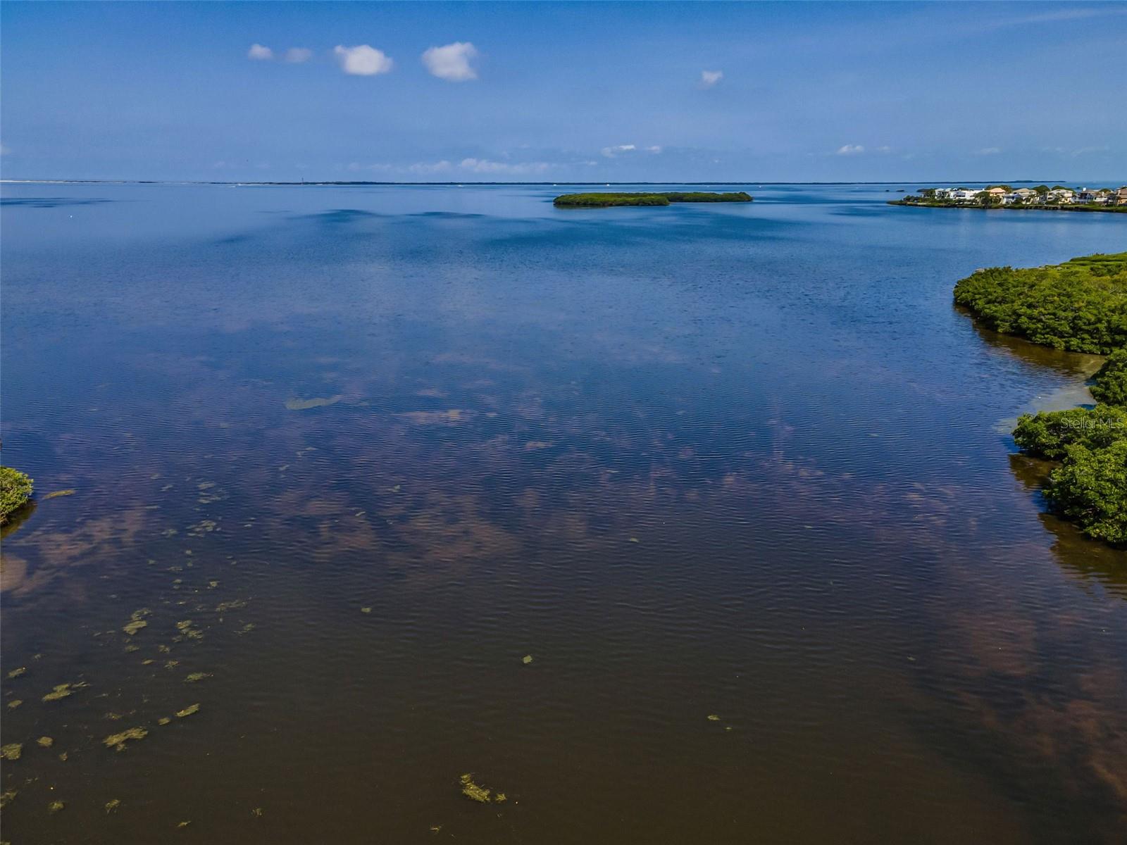 Not to mention the Great Red Fish hole off the dock!