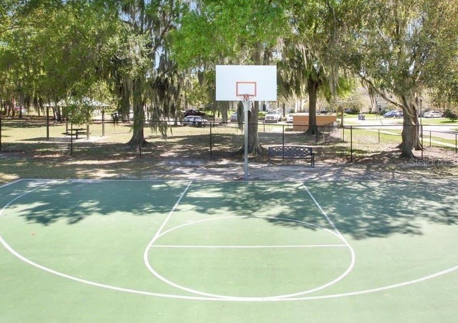 Basketball Court