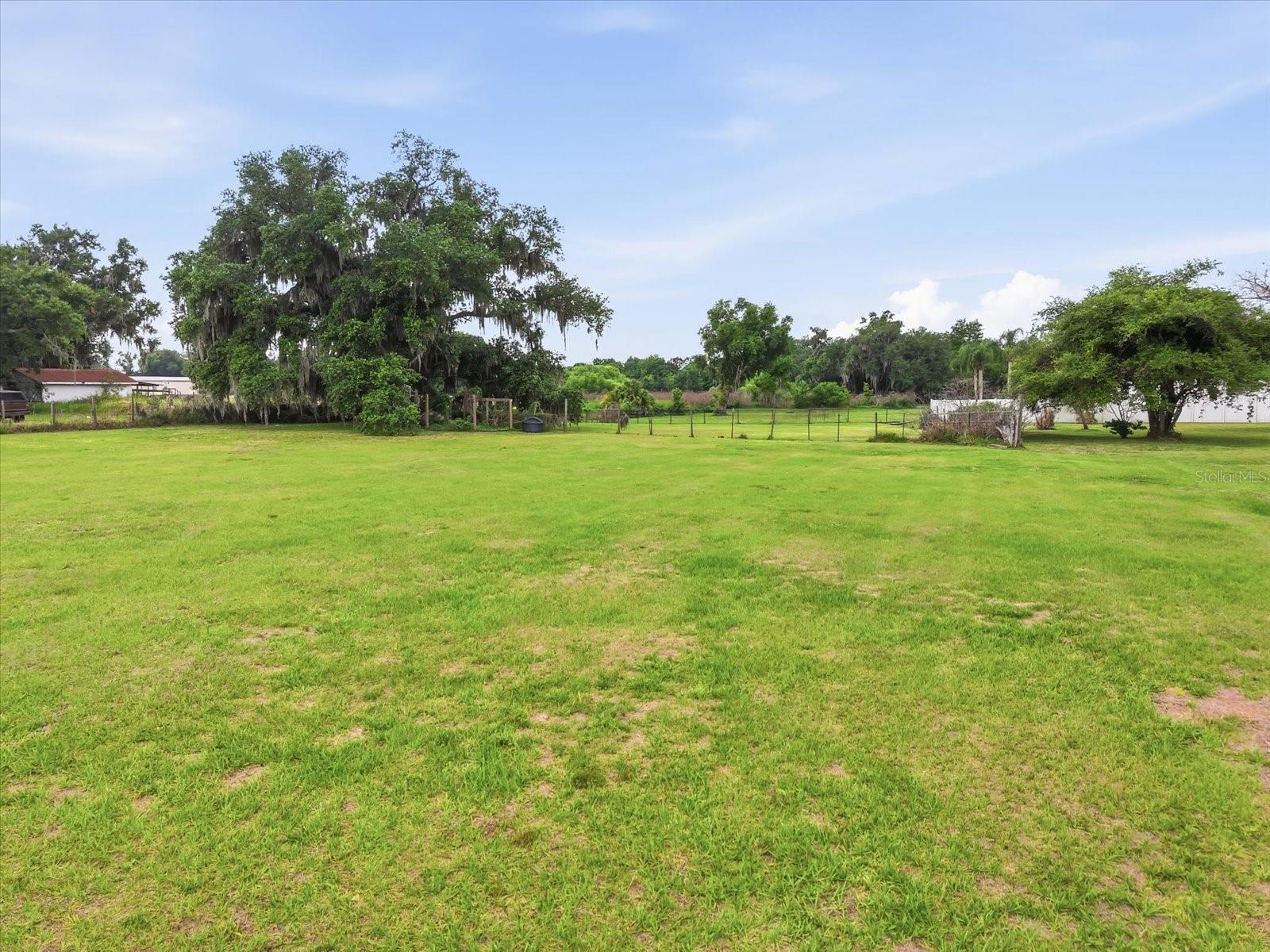 back yard currently with a cross fence small pasture